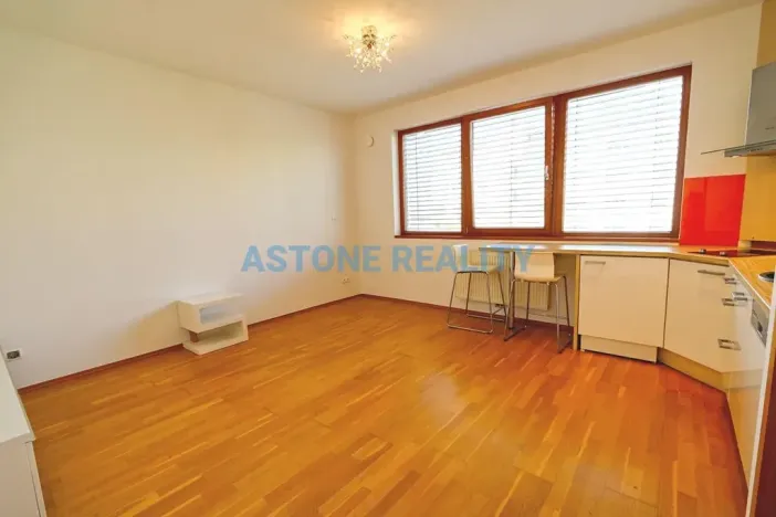 Pronájem bytu 1+kk, Praha - Břevnov, Brunclíkova, 30 m2