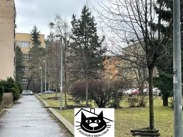 Pronájem bytu 2+1, Praha, Krupská, 70 m2