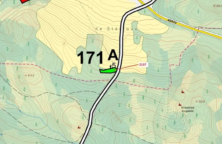 Dražba lesa, Český Rudolec, 833 m2