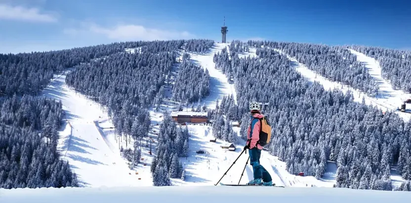Prodej bytu 1+kk, Loučná pod Klínovcem, 33 m2