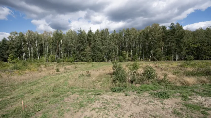 Prodej pozemku, Ralsko - Kuřívody, 1255 m2