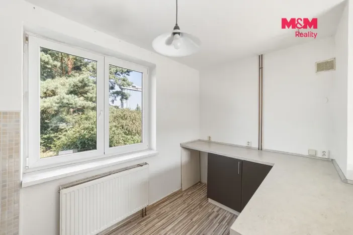 Pronájem rodinného domu, Dolní Beřkovice, Dolní hájek, 100 m2