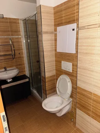 Pronájem bytu 1+kk, Karlovy Vary, Dubová, 30 m2