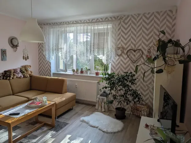 Pronájem bytu 1+1, Opava, Hany Kvapilové, 38 m2