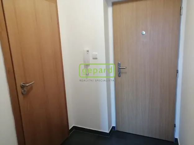 Pronájem bytu 1+kk, Brno - Staré Brno, Křížkovského, 26 m2