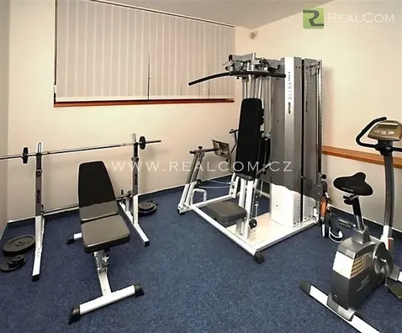 Pronájem bytu 1+kk, Praha - Újezd nad Lesy, Starokolínská, 30 m2