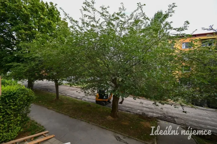 Pronájem bytu 2+1, Brno, Vondrákova, 50 m2