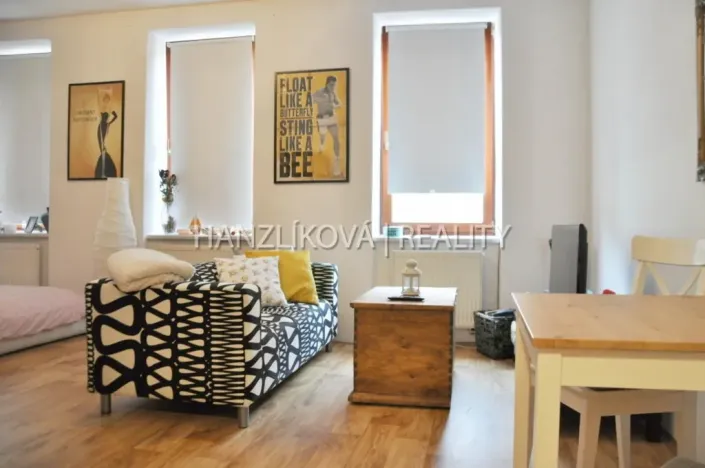 Pronájem bytu 1+kk, České Budějovice - České Budějovice 3, Klaricova, 36 m2