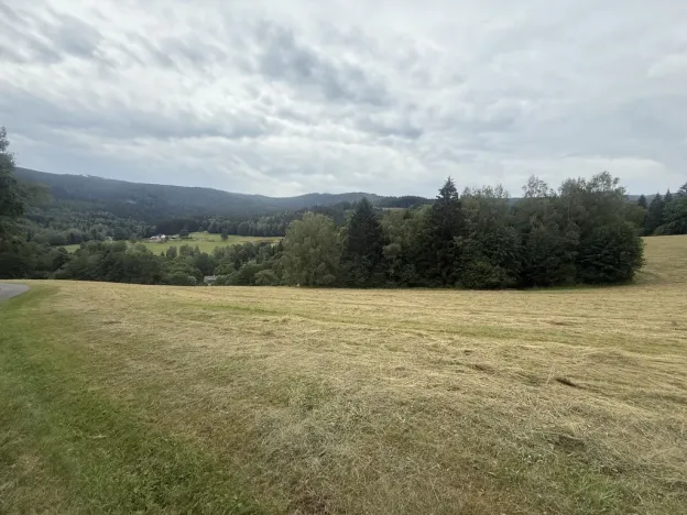 Prodej louky, Hamry, 84928 m2
