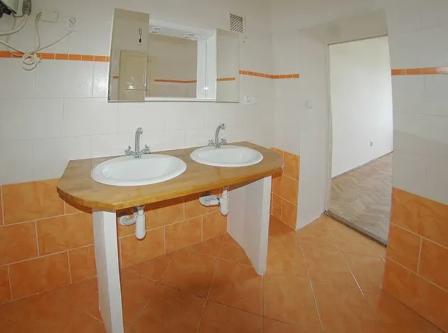 Pronájem bytu 2+1, Plzeň - Východní Předměstí, Americká, 97 m2