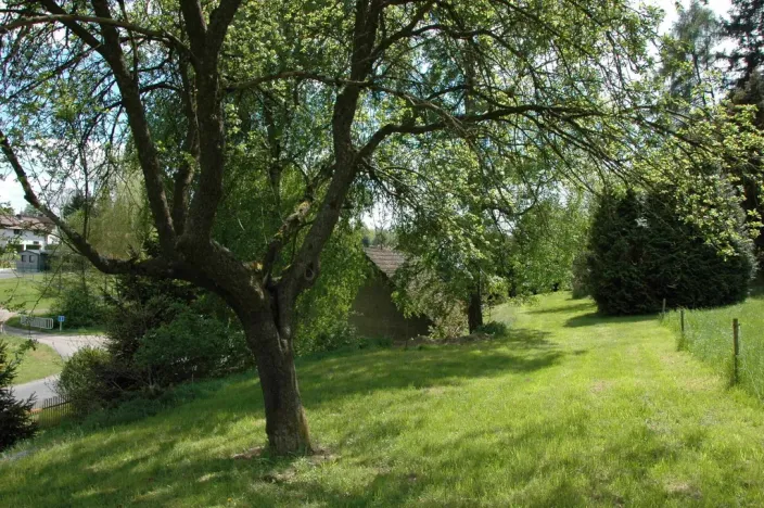 Prodej chalupy, Hnačov, 148 m2