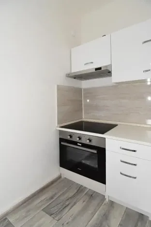 Pronájem bytu 2+1, Chomutov, Haškova, 50 m2