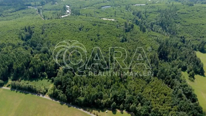 Prodej lesa, Hostašovice, 17015 m2