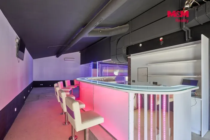 Pronájem obchodního prostoru, Drslavice, 365 m2