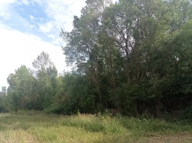 Prodej louky, Lednice - Nejdek, 5680 m2