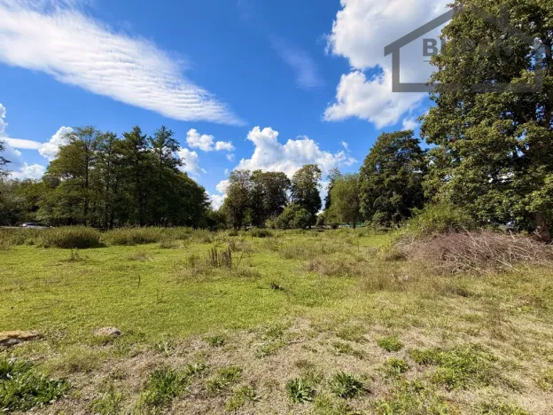 Prodej pozemku pro bydlení, Ctiboř, 82911 m2