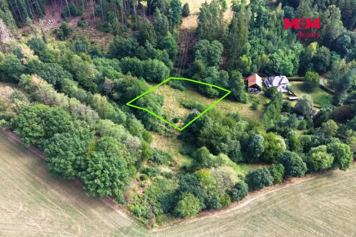 Prodej louky, Světlá nad Sázavou - Dolní Březinka, 1831 m2