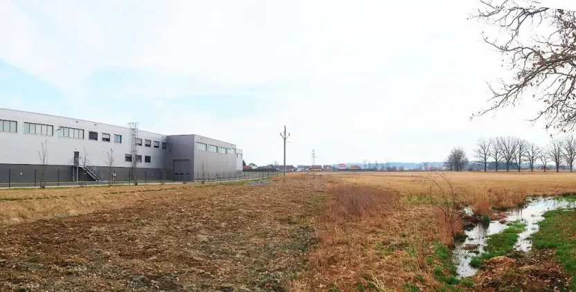 Prodej komerčního pozemku, Bor, 23653 m2