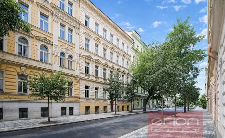 Prodej bytu 3+kk, Praha - Vinohrady, Americká, 92 m2