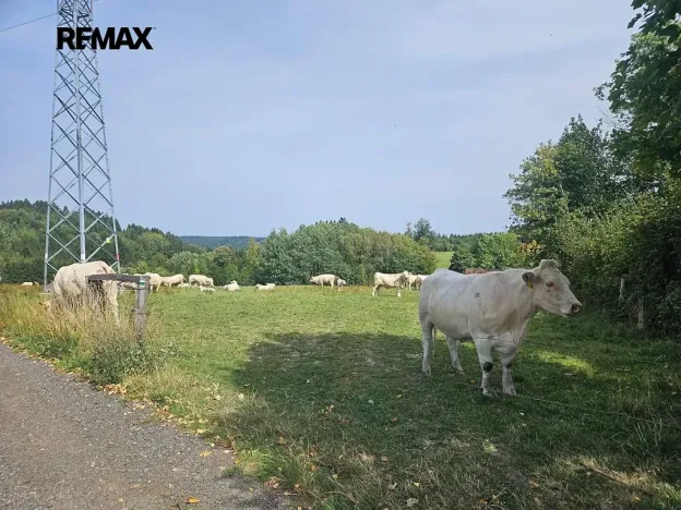 Prodej pozemku pro bydlení, Česká Třebová, 852 m2