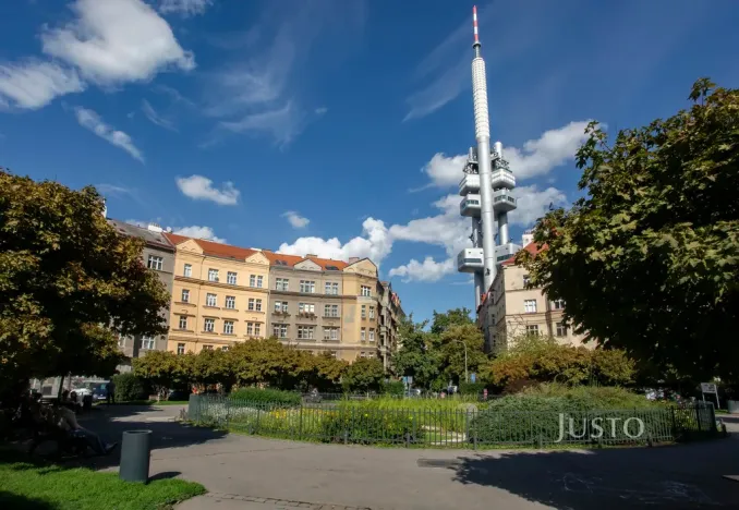 Pronájem bytu 2+1, Praha - Žižkov, Škroupovo náměstí, 78 m2
