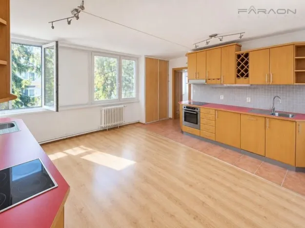 Prodej bytu 3+kk, Praha - Karlín, Molákova, 55 m2