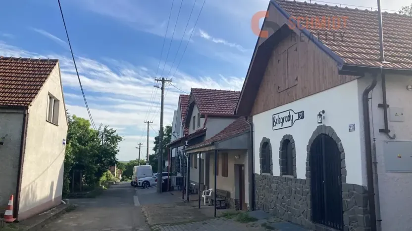 Pronájem ubytování, Velké Bílovice, Belegradská, 139 m2