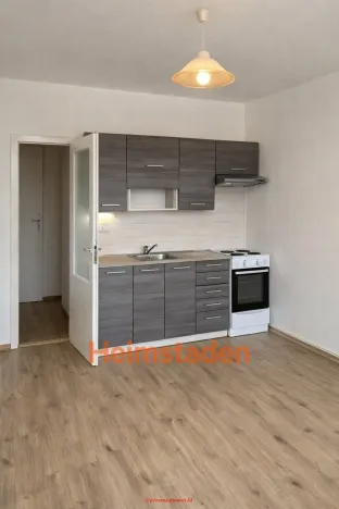 Pronájem bytu 1+1, Orlová - Lutyně, Masarykova třída, 51 m2