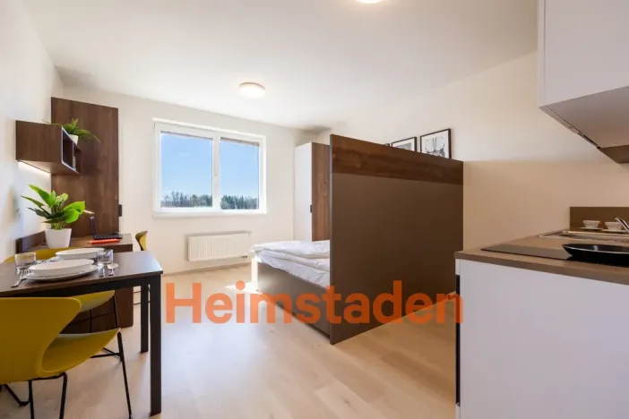 Pronájem bytu 1+kk, Plzeň - Jižní Předměstí, Magisterská, 27 m2