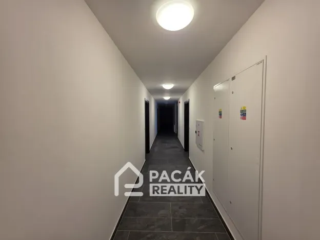 Pronájem bytu 2+kk, Olomouc, Třída Jiřího Pelikána, 52 m2