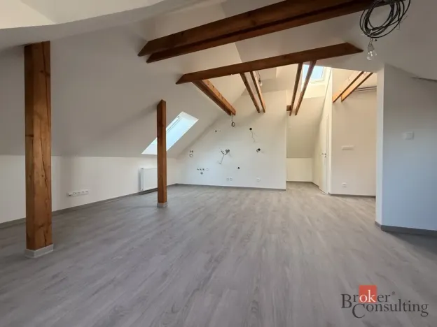Pronájem bytu 1+kk, Hlučín, Zahradní, 59 m2