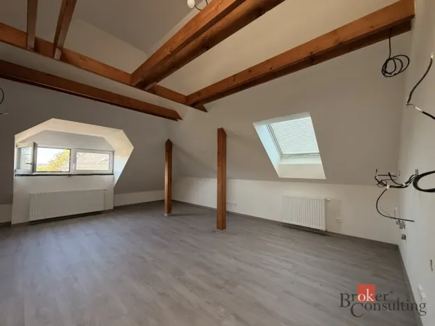 Pronájem bytu 1+kk, Hlučín, Zahradní, 59 m2