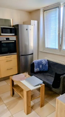 Prodej bytu 1+1, Brno - Řečkovice, Žitná, 34 m2