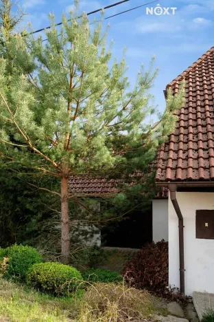 Prodej chalupy, Podmokly, 98 m2