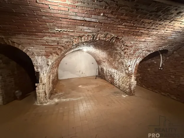 Prodej vinného sklepa, Žabčice, 140 m2