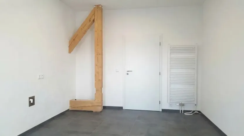 Pronájem bytu 3+kk, Olešná, 102 m2