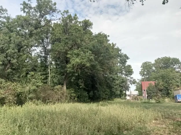 Prodej pozemku, Brod nad Dyjí, 6724 m2