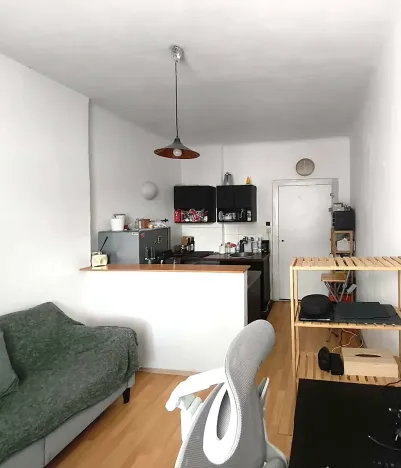 Pronájem bytu 2+kk, Brno, Gorkého, 35 m2
