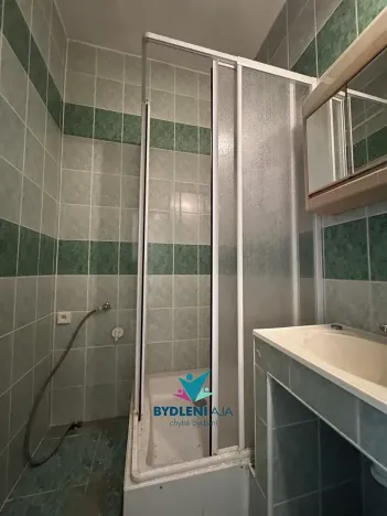 Prodej bytu 2+1, Teplice, Svojsíkova, 54 m2
