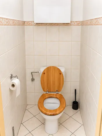 Pronájem bytu 2+kk, Olomouc, Handkeho, 55 m2