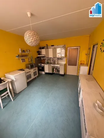 Pronájem bytu 1+1, Plzeň, Sokolovská, 40 m2
