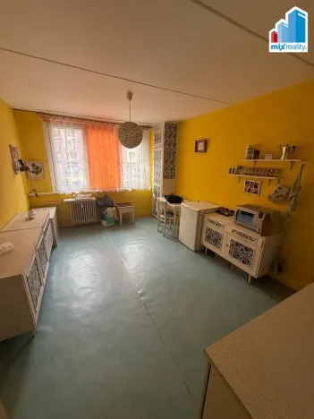 Pronájem bytu 1+1, Plzeň, Sokolovská, 40 m2