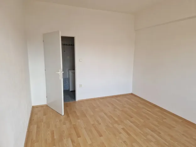 Pronájem bytu 1+kk, Olešná, 22 m2