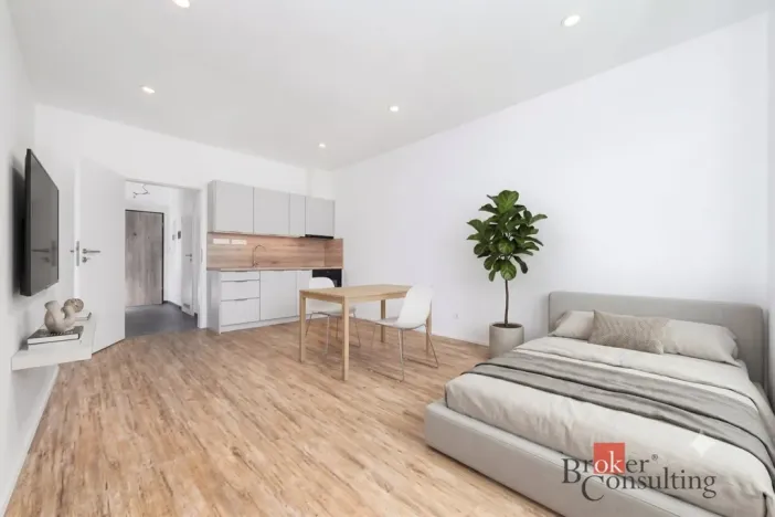 Pronájem bytu 1+kk, Plzeň - Jižní Předměstí, Železná, 35 m2