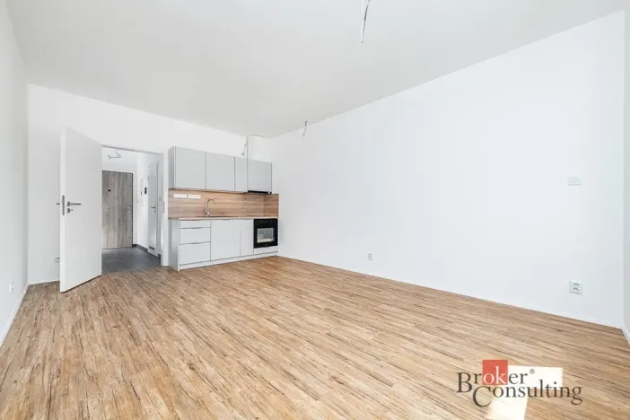 Pronájem bytu 1+kk, Plzeň - Jižní Předměstí, Železná, 35 m2