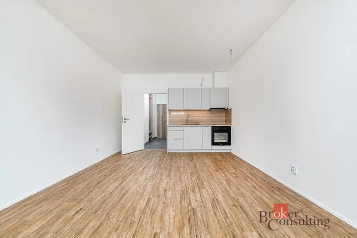 Pronájem bytu 1+kk, Plzeň - Jižní Předměstí, Železná, 35 m2
