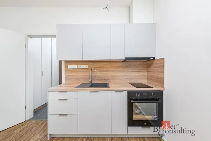 Pronájem bytu 1+kk, Plzeň - Jižní Předměstí, Železná, 35 m2
