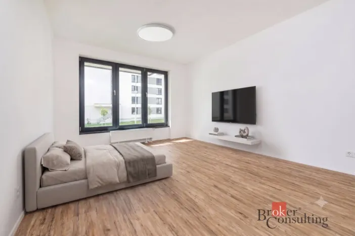 Pronájem bytu 1+kk, Plzeň - Jižní Předměstí, Železná, 35 m2
