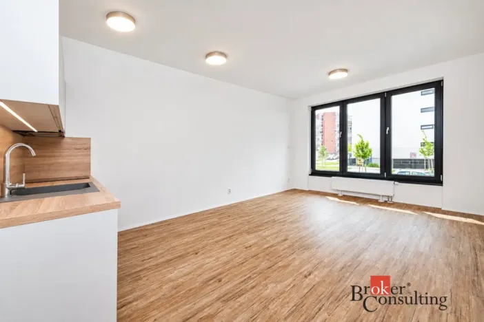 Pronájem bytu 1+kk, Plzeň - Jižní Předměstí, Železná, 31 m2