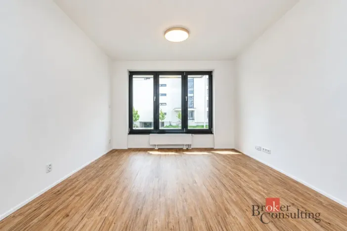Pronájem bytu 1+kk, Plzeň - Jižní Předměstí, Železná, 31 m2